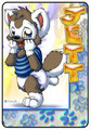 Jett Coon Tag