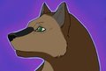 Wolf/german shepherd by Avimelekh