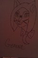 Geneva the Cat