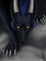 Coming for you by Cheetahs