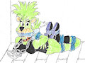 Bound Roxy Bear