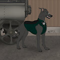 Dapper hound 2