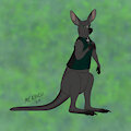 Mearcu Roo