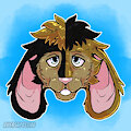 Harlequin Headshot