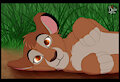 Innocent Bambi
