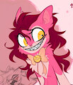 Sakura (Cherry) the cacomistle (raccoon) reference sheet