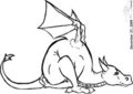 Stretching Dragon - 2009