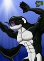 Macro Orca Snack