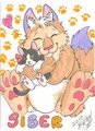 Siber Badge