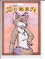 Con Badge