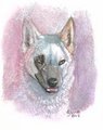 Bunny ACEO