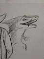 angle test