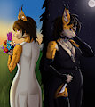Light & Darkness