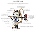 Racket by G3TRacket