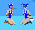Competition "Winners"
