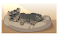 Napping on Clouds by Ralanr