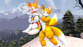 The Circle Of Tails!