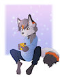 Orange Fox (Gift)