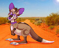 🦘 Kangaroo Jordan 🦘 by WienerDogWorks
