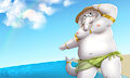 Kashasarn's Summer vacation