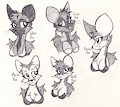 Vixens