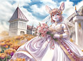 Radoslawa wedding pictures