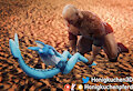 Get that beach body! (animation) by Honigkuchenpferd