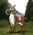 Coyotes ride harder (2)!!  by Coyotekoi