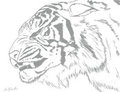 First steps with SAI by AirBlade