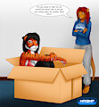 Kitten in the box by MrGimp21