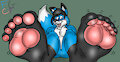 JohnBlueFox Foxy Toesie Toes