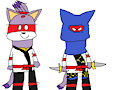 TMNT Night Ninja Blaze