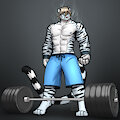[C] Heavy Lifting