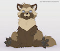 Common raccoon dog