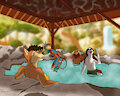 Hot Springs