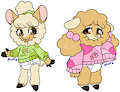 Maisie and Nellie the Alpaca Twins