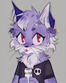 pfp Redraw by BlackSocks1L