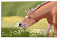 random horse doodles by arttemisia