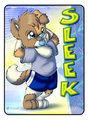 Sleek Tag