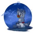 Night Thinker