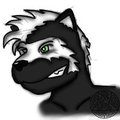 Uncle Stripe headshot by Kainus666