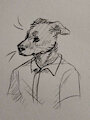levi & pav dog assignments