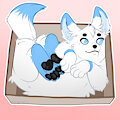 [C] Milk