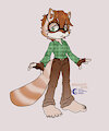 Ochre the Raccoon
