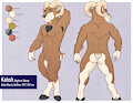 Kabsh Ref Sheet - SFW
