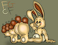 Ralfs Bun Tootsies