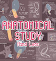 [ANATOMICAL STUDY] Plantigrade & Digitigrade Hind Legs by otterbaux
