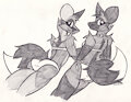 Pair of Vixens