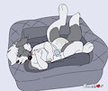 Wolfie's Streams - Puppy Bed