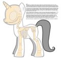 Pony Skeleton by Prismwind